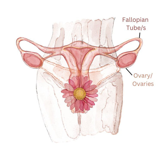 Understanding Hormonal Imbalances: Causes & Symptoms